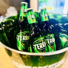 韓国で流行りのTERRAビール