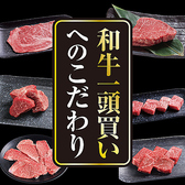 あみやき亭　上桂店の写真