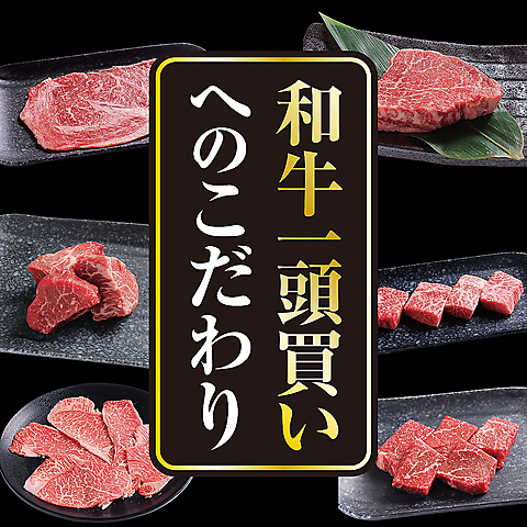 【ニューオープン】焼肉　国産牛　和牛 食べ放題　記念日 誕生日 上桂