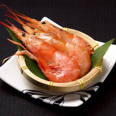 赤海老(3尾)