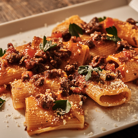 SHIBASAKI CAMP VoTLLv