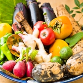 ◆ともすけのこだわり2◆自社卸によるお野菜は新鮮！創作串焼きや一品料理などで、旬のお野菜をお愉しみいただけます♪