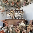 【フォトスポット】わんちゃんのお写真が撮れるフォトスポットをご用意しております♪贅沢で華のある空間がわんちゃんの愛らしさを引き立てます。ご友人のわんちゃんたちや、SNSで繋がっている知り合いとのオフ会にもご利用いただけます◎思い出に残る素敵なひとときをお過ごしください♪
