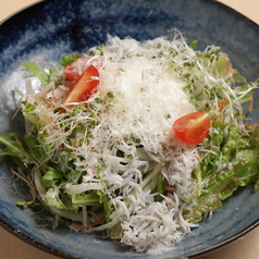 釜揚げシラスと半熟卵シーザーサラダ