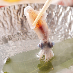 春の味覚ホタルイカもお楽しみいただけます。