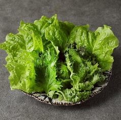 手巻き野菜盛り合わせ(二人前)