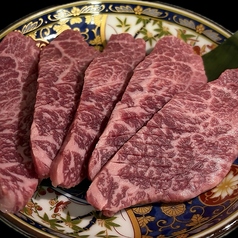 トンビ