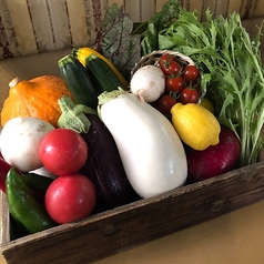 【季節の食材にこだわりあり】糸島産の新鮮野菜も◎