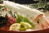 いけすから出したばかりの新鮮魚介を提供いたします！