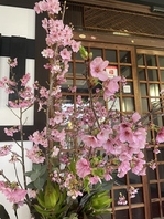 落ち着いた和の空間でゆったりと食事を楽しめます