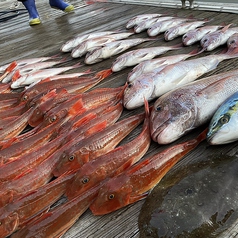 季節に合わせた新鮮な魚介を味える！