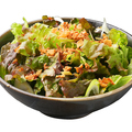 料理メニュー写真&nbsp;チョレギサラダ