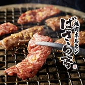焼肉ホルモン ばさら亭 名古屋栄店の詳細