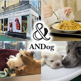 ANDog アンドッグの詳細