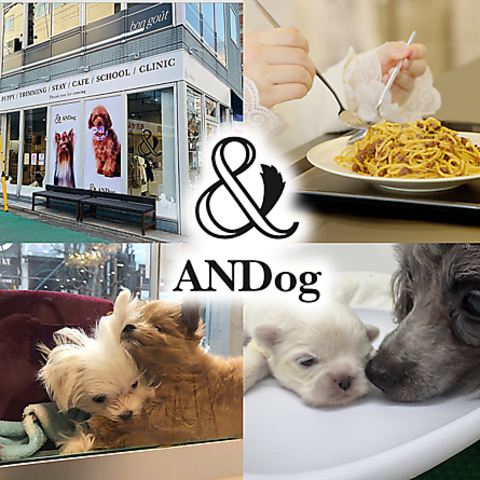 わんちゃんと楽しめる癒し合う空間 ≪「犬と共に生きる」 を実現する第二の家≫