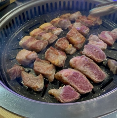 デジハンマリ　目黒店の特集写真