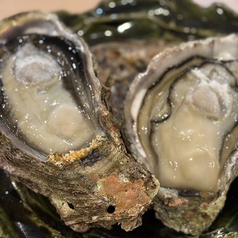 にほん料理 たにまつの特集写真
