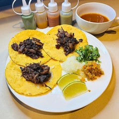 ビリア　レギュラーサイズ