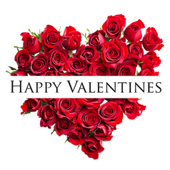 Ryuduki リュウヅキ 錦糸町のコース写真