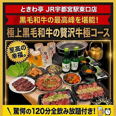 0秒レモンサワー ときわ亭 JR宇都宮駅東口店のコース写真