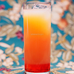 カシスオレンジ/カシスグレープフルーツ/カシスウーロン/カシスソーダ/ジントニック/ジンバック