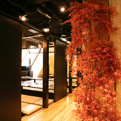 楽肴 rakuzakana 浜松町本店の雰囲気1