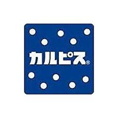 カルピス