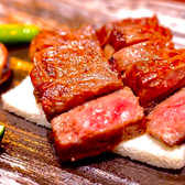 諏訪回廊 客人 まろうど