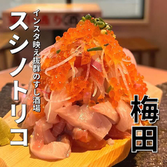 すし酒場 スシノトリコのコース写真