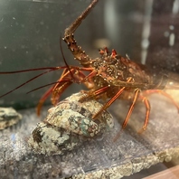 市場から直接仕入れる新鮮な海の幸をお楽しみください