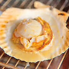 殻付きホタテバター焼き