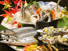 折紙 おりがみ 小針の特集写真