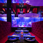 【 女子会コース有り 】乾杯スパークリングにデザート食べ放題もついた全7品「女子会コース」4500円