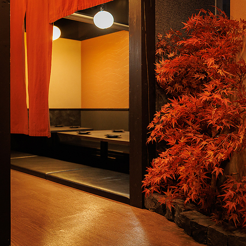 ���^���ƊC�N ���܉� ��t�X