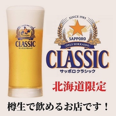 【北海道限定】サッポロクラシック樽生