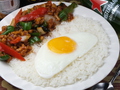 料理メニュー写真 鶏肉とバジル炒めご飯
