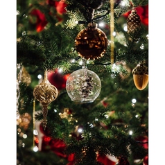 熟成和牛焼肉エイジング ビーフ大宮店のコース写真