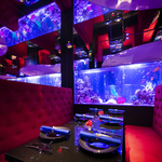 【 -深海-海の底を彷彿とさせる幻想的な空間 】1500匹を超える魚に囲まれる空間は、まさに深海。