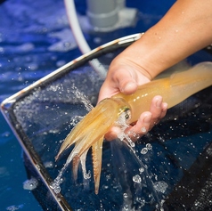 いけすと炭と薪焼と 博多 とりとりとの特集写真
