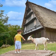 動物と自然