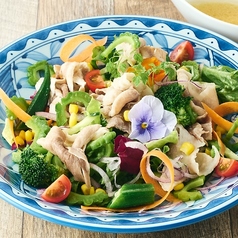 10種野菜のサラダ あぐー豚のしゃぶしゃぶ仕立て