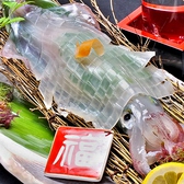 福〇 ふくまる 博多のおすすめ料理2