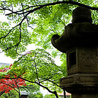別府湾と高崎山を借景とした庭園