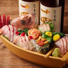 黒潮名物!朝〆鮮魚5点船盛り