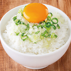 ねぎ玉めし
