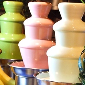 チョコレートファウンテン☆女性に大好評！