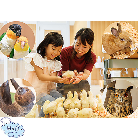 Moff animal cafe ららぽーと立川立飛店の写真