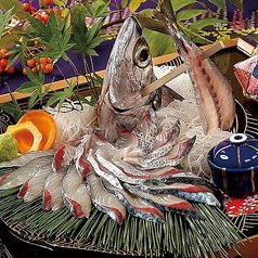 どげん海特集写真1