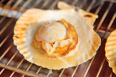 焼きホタテ