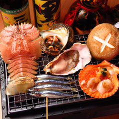 炉端焼き 海鮮牡蠣専門店 貝屋 貝楽の特集写真